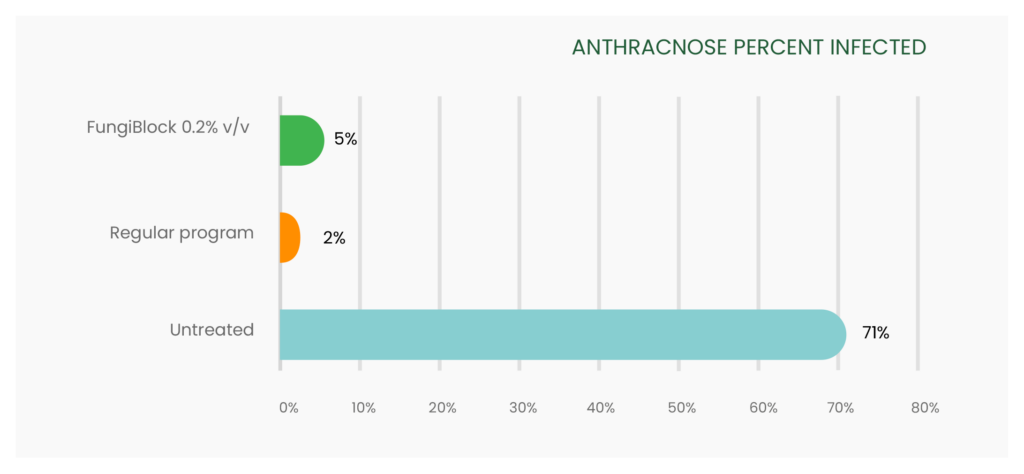 anthracnose percent infected