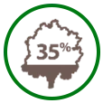 35% of biomass