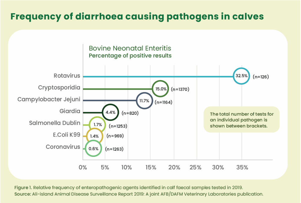 Cryptosporidiosis in calves