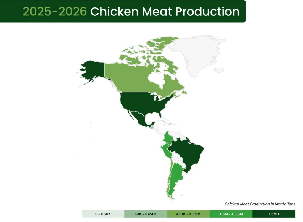 Produção avícola nas Américas 2025-2026